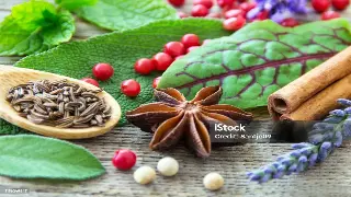 杭州按摩避坑指南：姐妹们，这家环境真的绝了！附真实体验