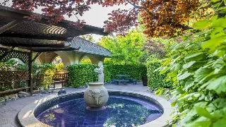 告别僵硬！杭州小白必看：超简单的居家按摩手法，让你秒变按摩达人