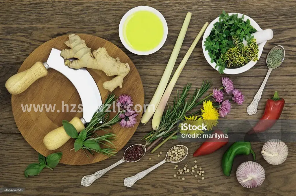 足部按摩穴位图