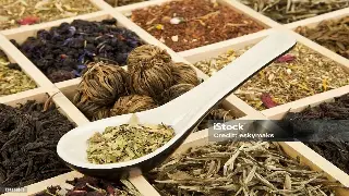 政策东风吹暖养生业：杭州的‘身体’新机遇！